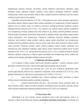 Atstovavimas 7 puslapis