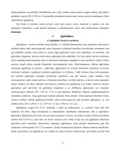 Atstovavimas 8 puslapis