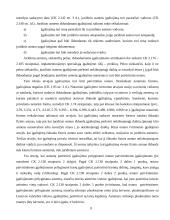 Atstovavimas 9 puslapis