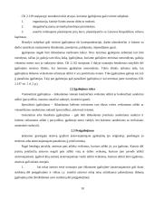 Atstovavimas 10 puslapis