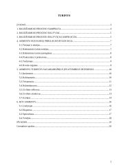 Pagrindiniai baudžiamojo proceso dalyviai ir jų rolės 2 puslapis