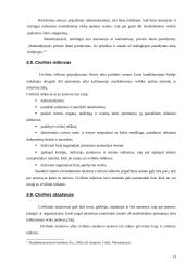 Pagrindiniai baudžiamojo proceso dalyviai ir jų rolės 13 puslapis