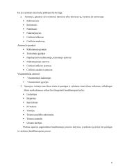 Pagrindiniai baudžiamojo proceso dalyviai ir jų rolės 6 puslapis