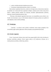 Pagrindiniai baudžiamojo proceso dalyviai ir jų rolės 9 puslapis