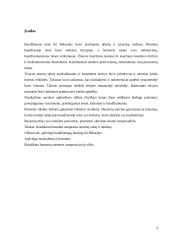 Bausmės samprata ir jos rūšys 2 puslapis