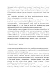 Bausmės samprata ir jos rūšys 6 puslapis