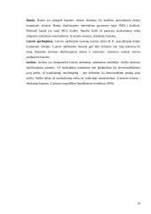 Bausmės samprata ir jos rūšys 9 puslapis