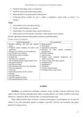 Bendradarbiavimo su darbuotojais psichologiniai aspektai 17 puslapis