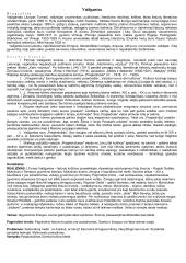 Privalomų autorių konspektas 11-12 kl. 11 puslapis