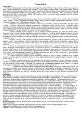 Privalomų autorių konspektas 11-12 kl. 12 puslapis