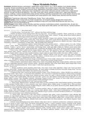 Privalomų autorių konspektas 11-12 kl. 14 puslapis