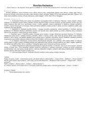 Privalomų autorių konspektas 11-12 kl. 20 puslapis