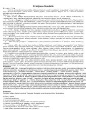 Privalomų autorių konspektas 11-12 kl. 4 puslapis