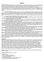 Privalomų autorių konspektas 11-12 kl. 8 puslapis