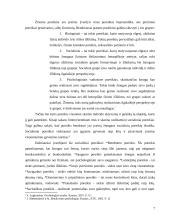 Bendravimo samprata 7 puslapis