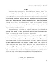 Bendravimo stilius ir turinys 2 puslapis