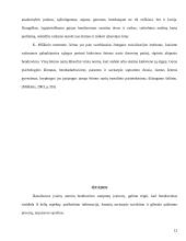 Bendravimo stilius ir turinys 12 puslapis