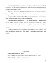 Bendravimo stilius ir turinys 13 puslapis