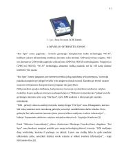 Bevielis internetas 11 puslapis