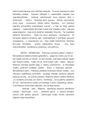 Būties samprata. Antikinė ontologija 5 puslapis