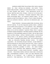 Būties samprata. Antikinė ontologija 6 puslapis