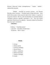 Būties samprata. Antikinė ontologija 8 puslapis