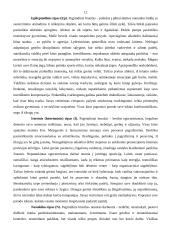 Charakteris 12 puslapis