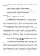 Charakteris 14 puslapis
