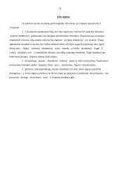 Charakteris 16 puslapis
