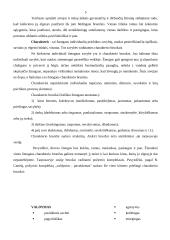 Charakteris 5 puslapis