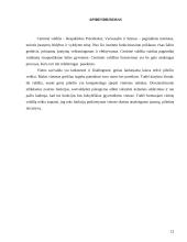 Centrinės ir vietinės valdžios formavimo ypatumai 12 puslapis