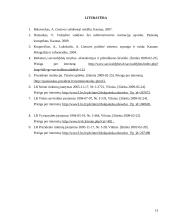 Centrinės ir vietinės valdžios formavimo ypatumai 13 puslapis