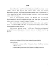 Centrinės ir vietinės valdžios formavimo ypatumai 3 puslapis