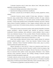 Centrinės ir vietinės valdžios formavimo ypatumai 6 puslapis