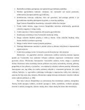 Centrinės ir vietinės valdžios formavimo ypatumai 7 puslapis