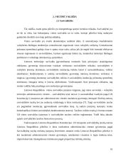 Centrinės ir vietinės valdžios formavimo ypatumai 10 puslapis