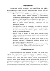 Civilinės teisės sąvoka. Reguliuojami teisiniai santykiai 6 puslapis