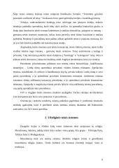 Civilinės teisės šeimų sistemos 8 puslapis