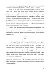 Civilinės teisės šeimų sistemos 9 puslapis