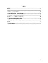 Civilinio proceso tikslai 2 puslapis