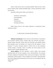 Civilinio proceso tikslai 11 puslapis