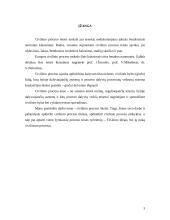 Civilinio proceso tikslai 3 puslapis