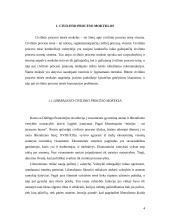 Civilinio proceso tikslai 4 puslapis