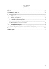 Civilinių sandorių formos 2 puslapis