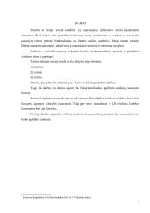 Civilinių sandorių formos 3 puslapis