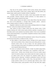 Civilinių sandorių formos 4 puslapis