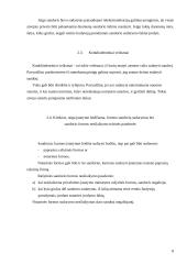 Civilinių sandorių formos 8 puslapis