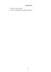 Darbo ginčų nagrinėjimas 12 puslapis