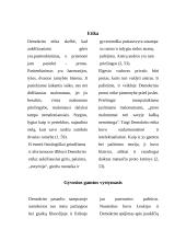 Demokrito atomų teorija 8 puslapis