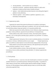 Derybos ir konfliktų valdymas dalykinėje aplinkoje 12 puslapis